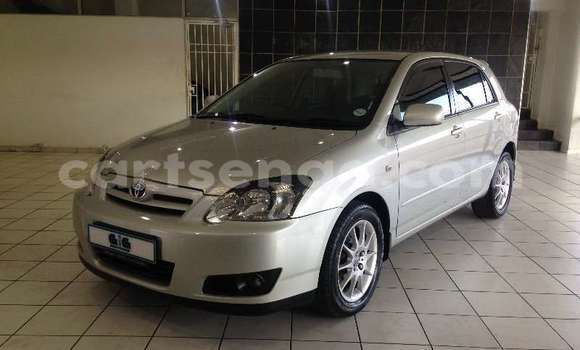 Medium with watermark toyota runx hhohho bulembu 26347
