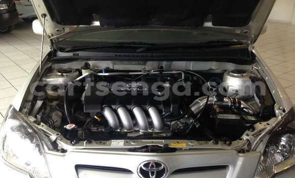 Buy Used Toyota Runx Silver Car in Bulembu in Hhohho Buy Used Toyota Runx Silver Car in Bulembu in Hhohho