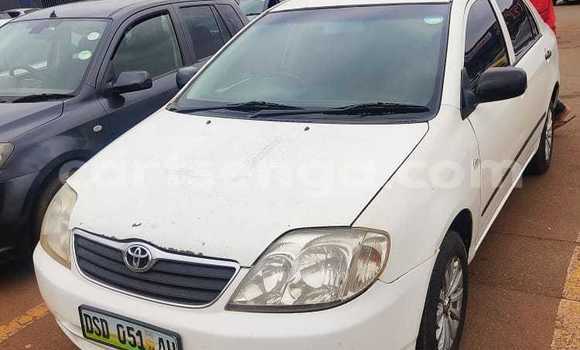 Nunua Ilio tumika Toyota Corolla White Gari ndani ya Manzini nchini Manzini Nunua Ilio tumika Toyota Corolla White Gari ndani ya Manzini nchini Manzini