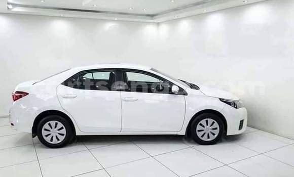 Buy Used Toyota Corolla White Car in Ezulwini in Hhohho Buy Used Toyota Corolla White Car in Ezulwini in Hhohho