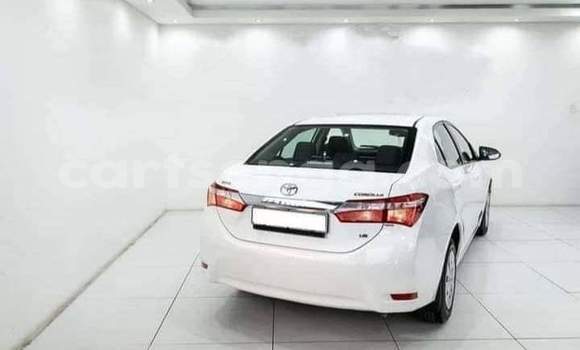 Buy Used Toyota Corolla White Car in Ezulwini in Hhohho Buy Used Toyota Corolla White Car in Ezulwini in Hhohho