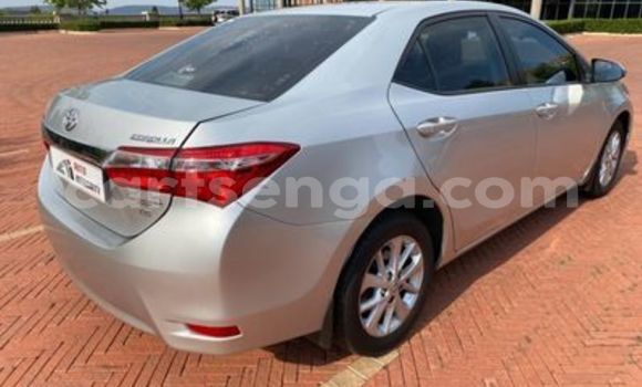 Acheter Occasion Voiture Toyota Corolla Gris à Big Bend, Lubombo District Acheter Occasion Voiture Toyota Corolla Gris à Big Bend, Lubombo District