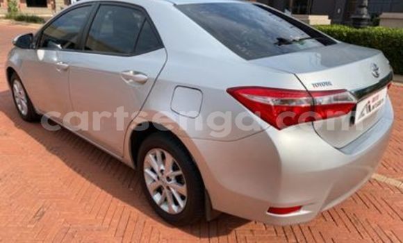 Acheter Occasion Voiture Toyota Corolla Gris à Big Bend, Lubombo District Acheter Occasion Voiture Toyota Corolla Gris à Big Bend, Lubombo District