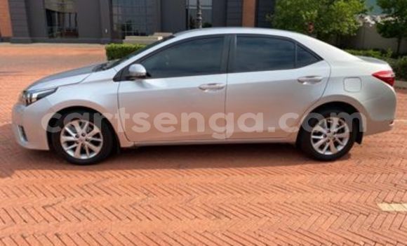 Acheter Occasion Voiture Toyota Corolla Gris à Big Bend, Lubombo District Acheter Occasion Voiture Toyota Corolla Gris à Big Bend, Lubombo District