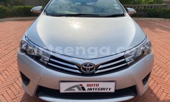 Acheter Occasion Voiture Toyota Corolla Gris à Big Bend, Lubombo District Acheter Occasion Voiture Toyota Corolla Gris à Big Bend, Lubombo District
