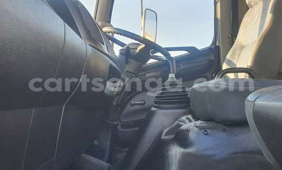 Acheter Occasion Utilitaire Hino 300 Series Autre à Big Bend, Lubombo District Acheter Occasion Utilitaire Hino 300 Series Autre à Big Bend, Lubombo District