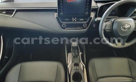 Buy Used Toyota Corolla White Car in Big Bend in Lubombo District Buy Used Toyota Corolla White Car in Big Bend in Lubombo District