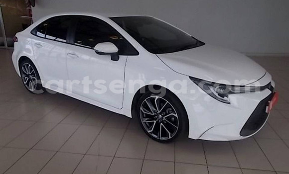 Buy Used Toyota Corolla White Car in Big Bend in Lubombo District Buy Used Toyota Corolla White Car in Big Bend in Lubombo District