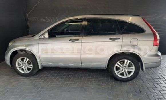 Acheter Occasion Voiture Honda CR–V Gris à Ezulwini, Hhohho Acheter Occasion Voiture Honda CR–V Gris à Ezulwini, Hhohho