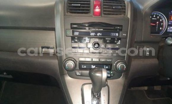 Acheter Occasion Voiture Honda CR–V Gris à Ezulwini, Hhohho Acheter Occasion Voiture Honda CR–V Gris à Ezulwini, Hhohho