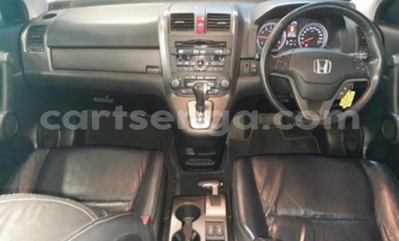 Acheter Occasion Voiture Honda CR–V Gris à Ezulwini, Hhohho Acheter Occasion Voiture Honda CR–V Gris à Ezulwini, Hhohho