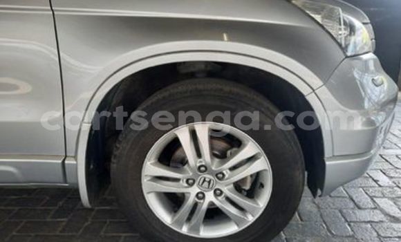 Acheter Occasion Voiture Honda CR–V Gris à Ezulwini, Hhohho Acheter Occasion Voiture Honda CR–V Gris à Ezulwini, Hhohho