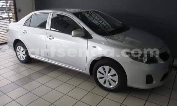 Buy Used Toyota Corolla Silver Car in Mbabane in Manzini Buy Used Toyota Corolla Silver Car in Mbabane in Manzini