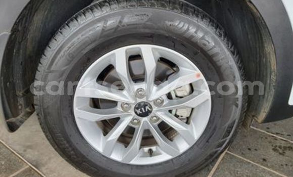 Buy Used Kia Sportage White Car in Ezulwini in Hhohho Buy Used Kia Sportage White Car in Ezulwini in Hhohho