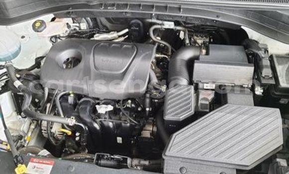 Buy Used Kia Sportage White Car in Ezulwini in Hhohho Buy Used Kia Sportage White Car in Ezulwini in Hhohho