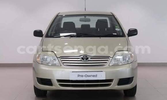 Nunua Ilio tumika Toyota Corolla Silver Gari ndani ya Ezulwini nchini Hhohho