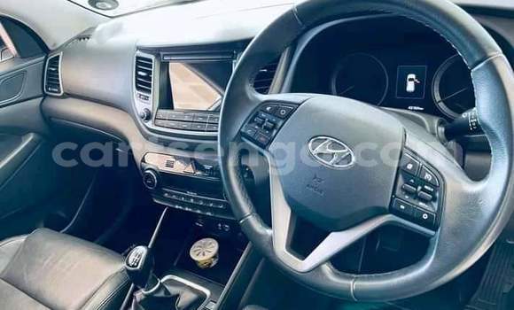 Buy Used Hyundai Tucson White Car in Ezulwini in Hhohho Buy Used Hyundai Tucson White Car in Ezulwini in Hhohho