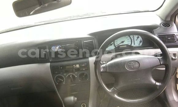 Acheter Occasion Voiture Toyota Corolla Gris à Manzini, Manzini Acheter Occasion Voiture Toyota Corolla Gris à Manzini, Manzini