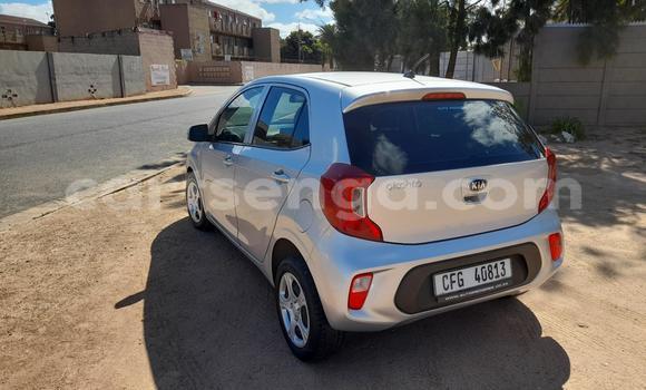 Buy Used Kia Picanto Silver Car in Mbabane in Manzini Buy Used Kia Picanto Silver Car in Mbabane in Manzini