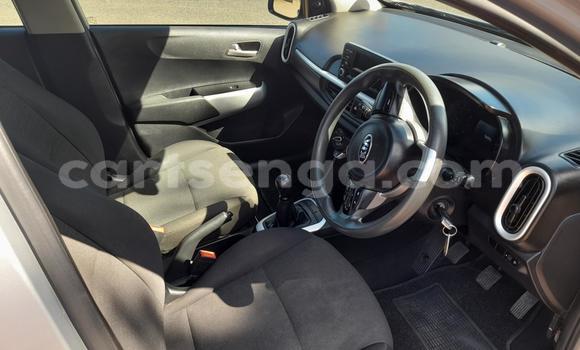 Buy Used Kia Picanto Silver Car in Mbabane in Manzini Buy Used Kia Picanto Silver Car in Mbabane in Manzini