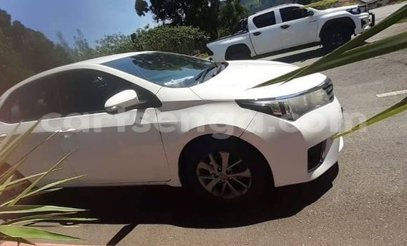 Nunua Ilio tumika Toyota Corolla White Gari ndani ya Mbabane nchini Manzini