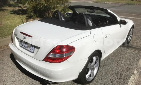 Buy Used Mercedes‒Benz SLK–Class White Car in Mbabane in Manzini Buy Used Mercedes‒Benz SLK–Class White Car in Mbabane in Manzini