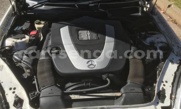 Buy Used Mercedes‒Benz SLK–Class White Car in Mbabane in Manzini Buy Used Mercedes‒Benz SLK–Class White Car in Mbabane in Manzini