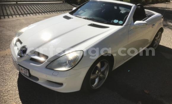 Buy Used Mercedes‒Benz SLK–Class White Car in Mbabane in Manzini Buy Used Mercedes‒Benz SLK–Class White Car in Mbabane in Manzini