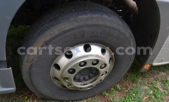 Buy Used Mercedes‒Benz 2644 White Truck in Mbabane in Manzini Buy Used Mercedes‒Benz 2644 White Truck in Mbabane in Manzini