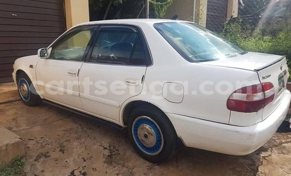 Acheter Occasion Voiture Toyota Corolla Blanc à Matsapha, Manzini Acheter Occasion Voiture Toyota Corolla Blanc à Matsapha, Manzini