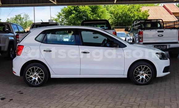 Buy Used Volkswagen Polo White Car in Big Bend in Lubombo Buy Used Volkswagen Polo White Car in Big Bend in Lubombo