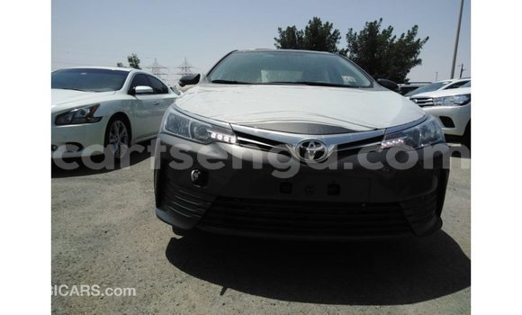 Buy Import Toyota Corolla Other Car in Import - Dubai in Hhohho Buy Import Toyota Corolla Other Car in Import - Dubai in Hhohho