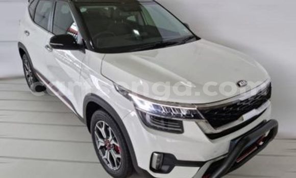 Buy Used Kia Sedona Beige Car in Hlatikulu in Shiselweni District