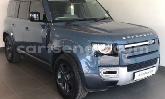Acheter Occasion Voiture Land Rover Defender Bleu à Big Bend, Lubombo