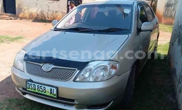 Buy Used Toyota Corolla Silver Car in Manzini in Manzini