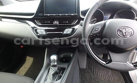 Buy Used Toyota C-HR Other Car in Big Bend in Lubombo Buy Used Toyota C-HR Other Car in Big Bend in Lubombo