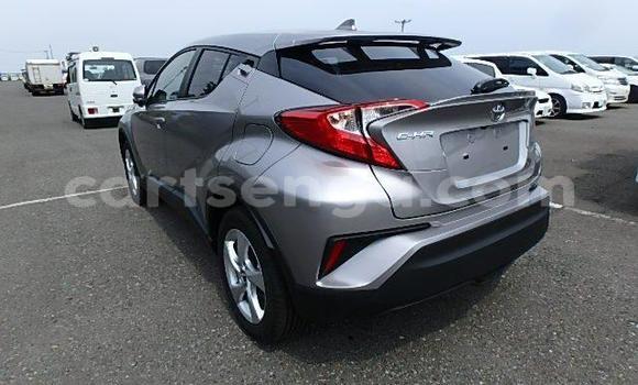 Buy Used Toyota C-HR Other Car in Big Bend in Lubombo Buy Used Toyota C-HR Other Car in Big Bend in Lubombo