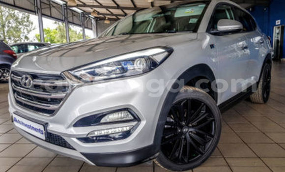 Buy Used Hyundai Tucson Silver Car in Ezulwini in Hhohho Buy Used Hyundai Tucson Silver Car in Ezulwini in Hhohho