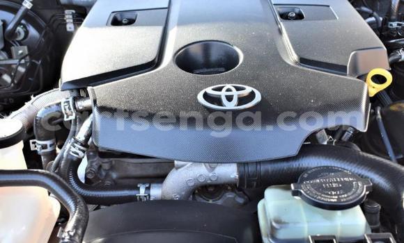 Nunua Ilio tumika Toyota Hilux Silver Gari ndani ya Bulembu nchini Hhohho Nunua Ilio tumika Toyota Hilux Silver Gari ndani ya Bulembu nchini Hhohho