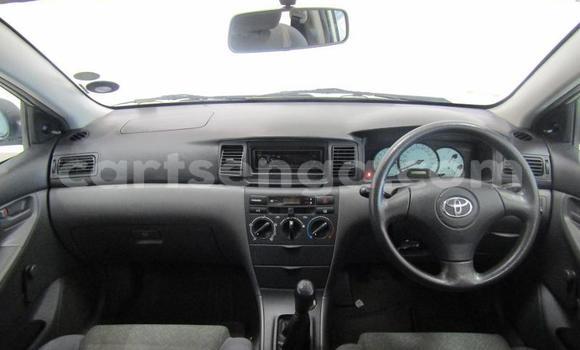 Buy Used Toyota Corolla Other Car in Ezulwini in Hhohho Buy Used Toyota Corolla Other Car in Ezulwini in Hhohho