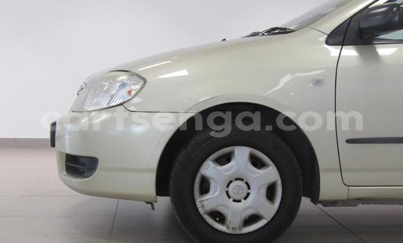 Buy Used Toyota Corolla Other Car in Ezulwini in Hhohho Buy Used Toyota Corolla Other Car in Ezulwini in Hhohho