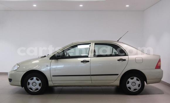 Buy Used Toyota Corolla Other Car in Ezulwini in Hhohho Buy Used Toyota Corolla Other Car in Ezulwini in Hhohho