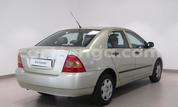 Buy Used Toyota Corolla Other Car in Ezulwini in Hhohho Buy Used Toyota Corolla Other Car in Ezulwini in Hhohho