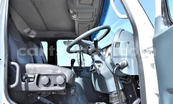 Acheter Occasion Utilitaire Nissan UD Blanc à Bulembu, Hhohho Acheter Occasion Utilitaire Nissan UD Blanc à Bulembu, Hhohho