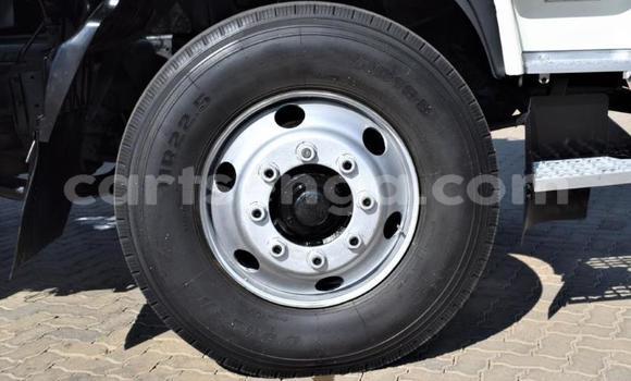 Acheter Occasion Utilitaire Nissan UD Blanc à Bulembu, Hhohho Acheter Occasion Utilitaire Nissan UD Blanc à Bulembu, Hhohho