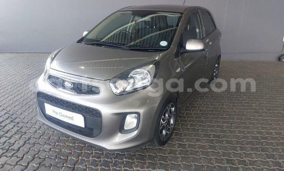 Acheter Occasion Voiture Kia Picanto Autre à Ezulwini, Hhohho