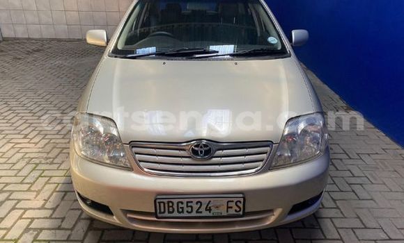 Buy Used Toyota Corolla Other Car in Ezulwini in Hhohho Buy Used Toyota Corolla Other Car in Ezulwini in Hhohho