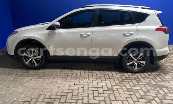 Buy Used Toyota RAV4 White Car in Ezulwini in Hhohho Buy Used Toyota RAV4 White Car in Ezulwini in Hhohho