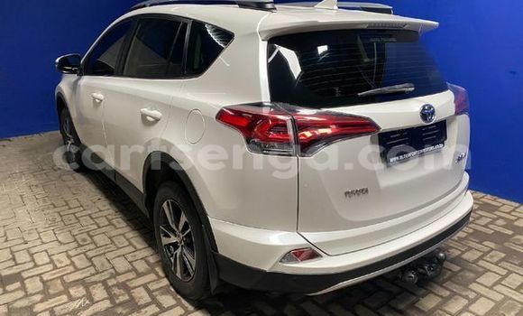 Buy Used Toyota RAV4 White Car in Ezulwini in Hhohho Buy Used Toyota RAV4 White Car in Ezulwini in Hhohho