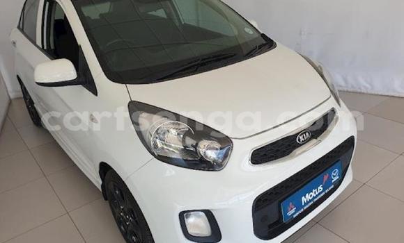 Buy Used Kia Picanto Other Car in Big Bend in Lubombo District